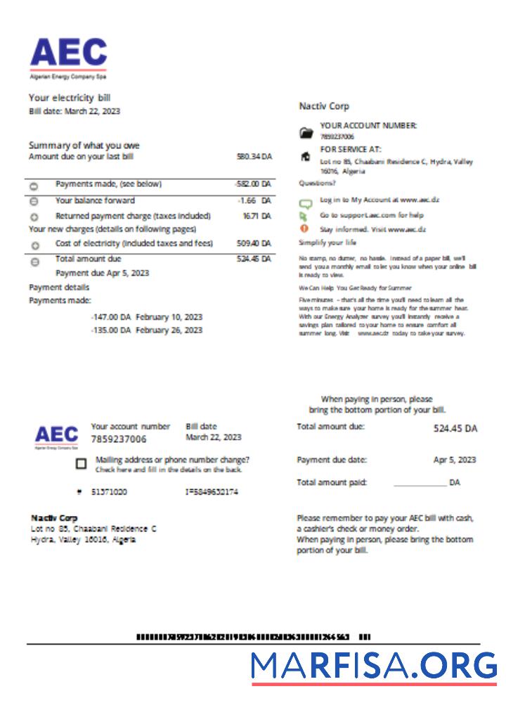 Printable AEC Algerian Energy Company utility business bill, SCR sample